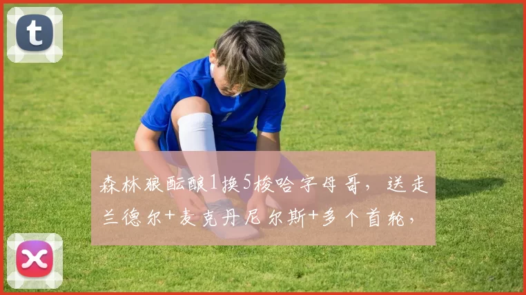 森林狼酝酿1换5梭哈字母哥，送走兰德尔+麦克丹尼尔斯+多个首轮，这筹码能不能打动雄鹿